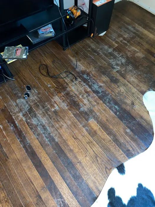 MoldStar Remediation Picture 8