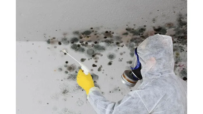 Property Rx Atlanta Picture 1