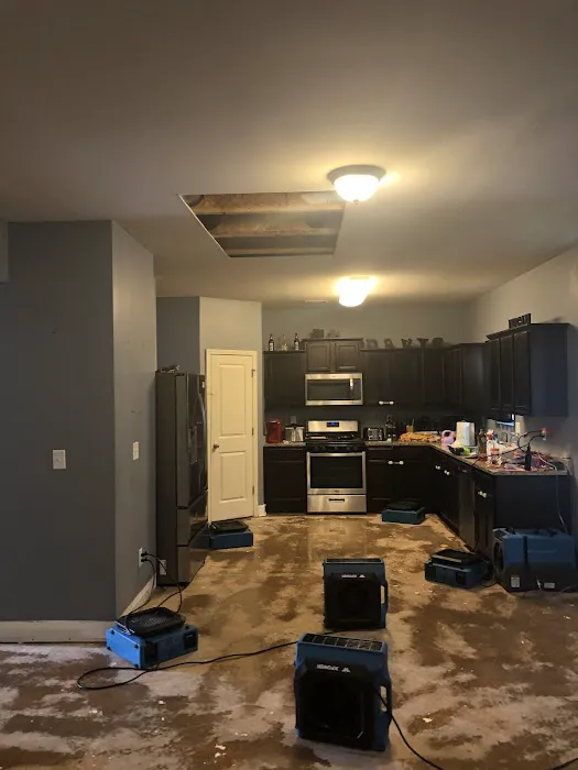 Oasis Restoration Picture 3