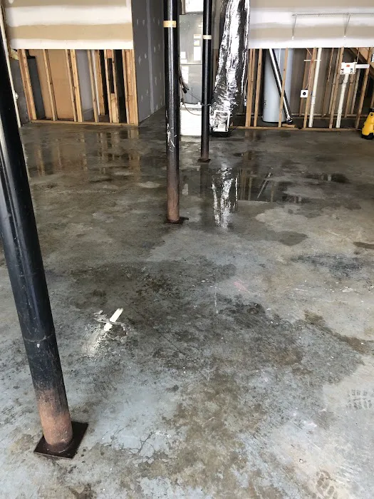 Oasis Restoration Picture 2