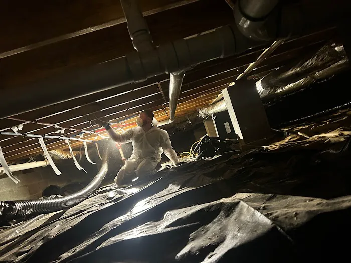 Oasis Restoration Picture 5