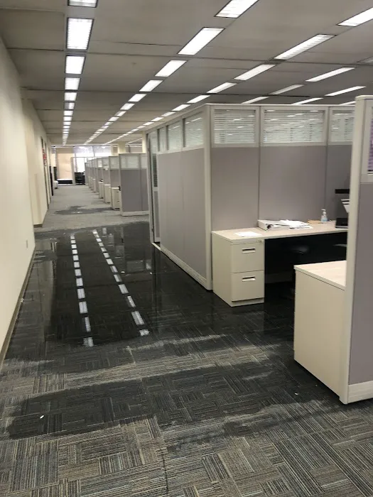 Oasis Restoration Picture 8