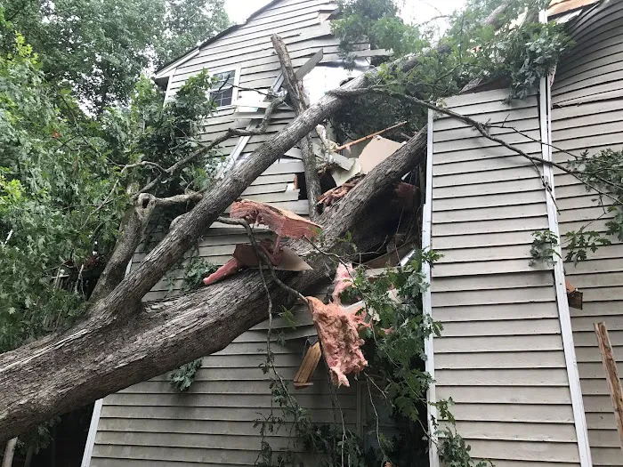 Full Circle Restoration Picture 4