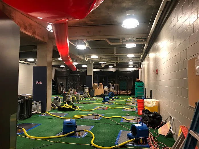 Full Circle Restoration Picture 8