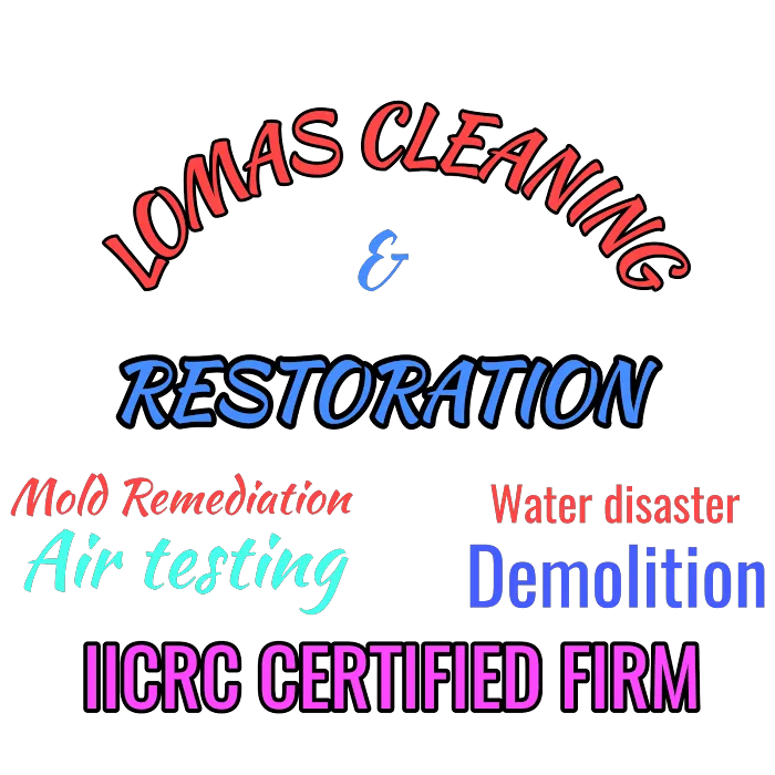 Lomas Cleaning and Restoration LLC Picture 7
