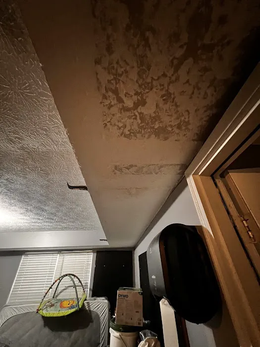 Complete Restoration of Georgia Picture 4