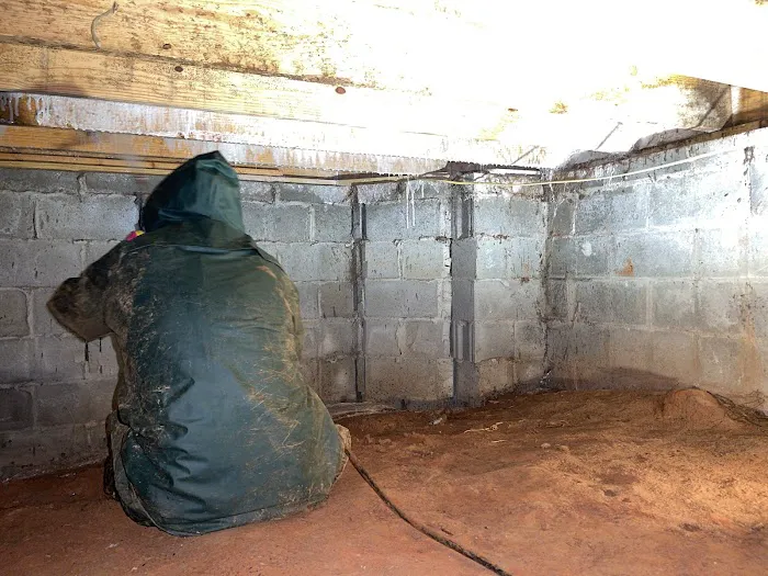 Complete Restoration of Georgia Picture 2