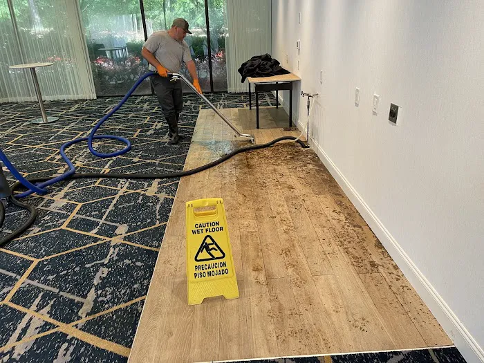 Complete Restoration of Georgia Picture 8