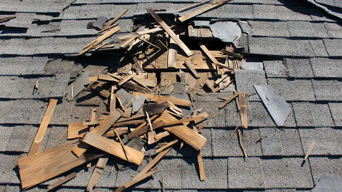 Complete Restoration of Georgia Picture 10