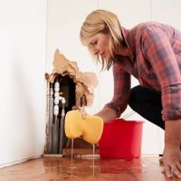 The Flood Medix - Emergency Water Damage Remediation ico