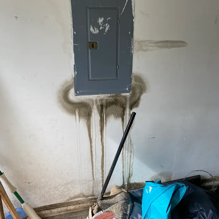 The Flood Medix - Emergency Water Damage Remediation Picture 7