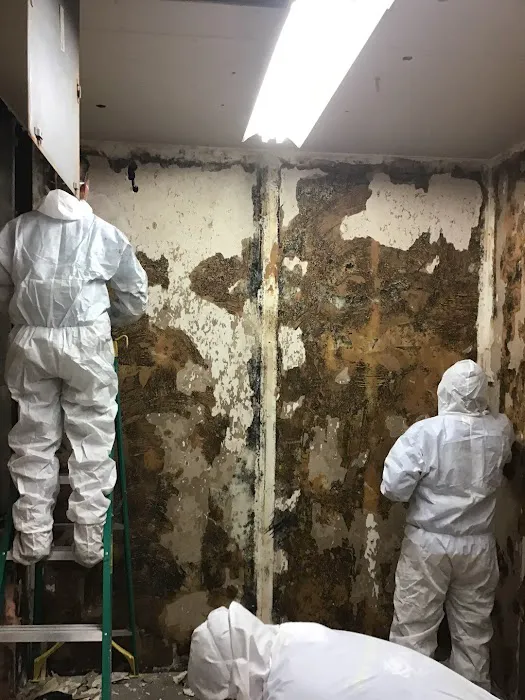 StructureMEDIC Picture 7