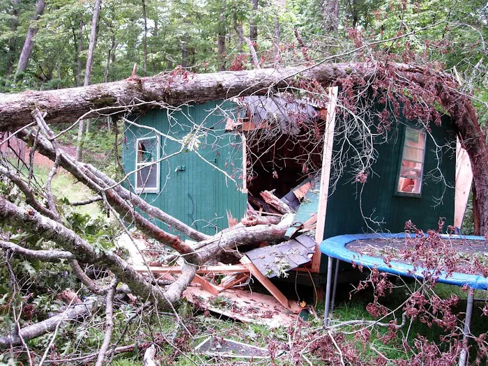 Archer Restoration Services Picture 1