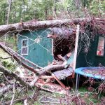 Archer Restoration Services