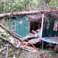 Archer Restoration Services ico