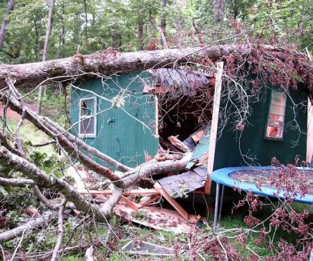 Archer Restoration Services