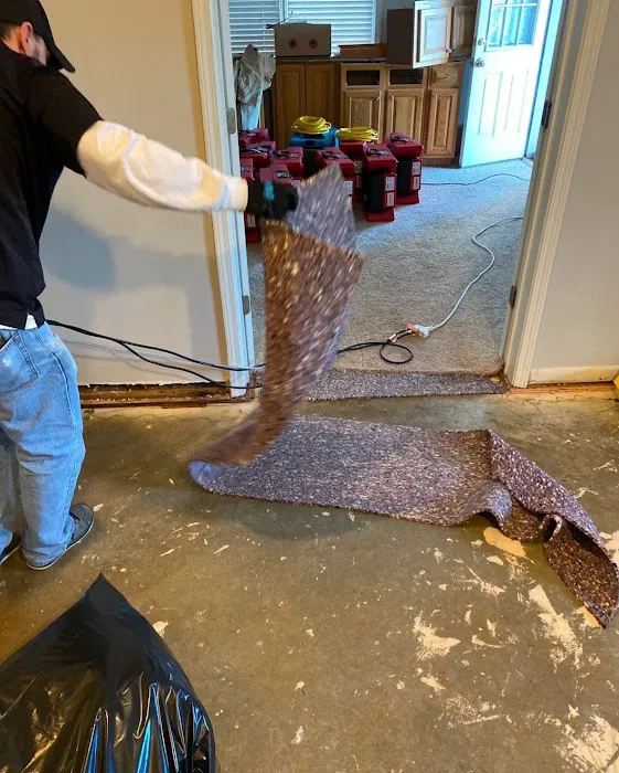 ActionClean Picture 3