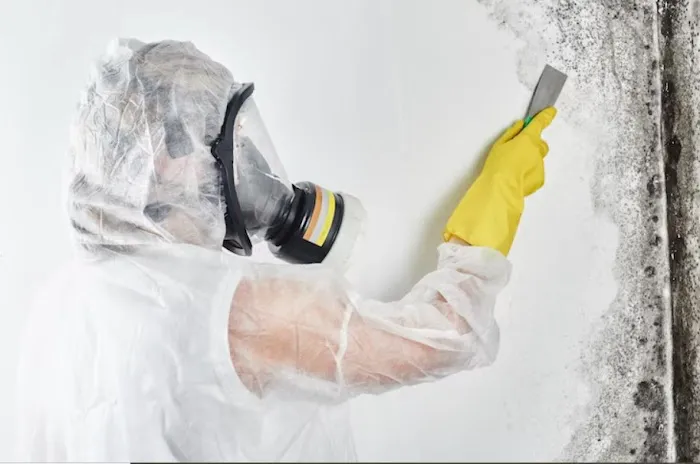 America's Restoration Services Picture 3