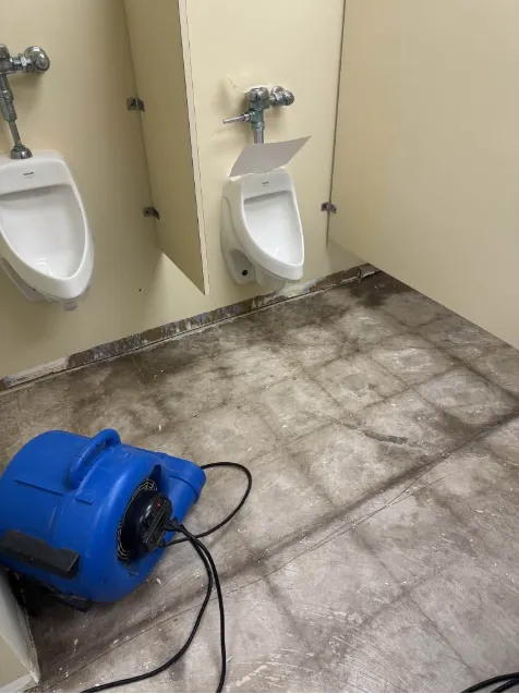 Phillips Restoration Services Picture 8