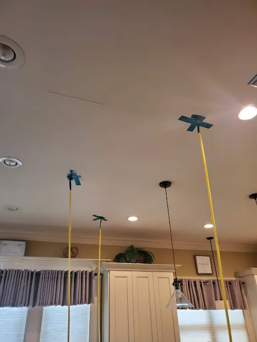 911 Restoration of Marietta Picture 8