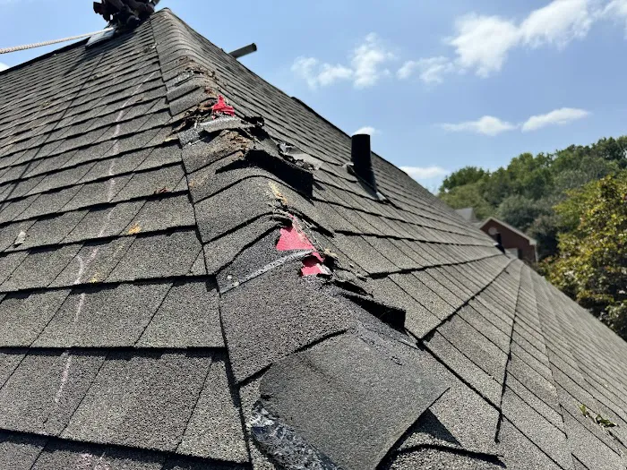 Kurgan LLC Picture 10