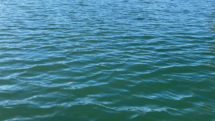 FloodX Mold And Water Damage Company Picture 2