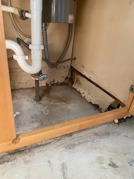 FloodX Mold And Water Damage Company Picture 1