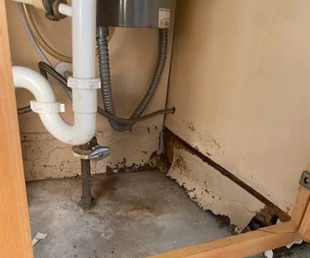 FloodX Mold And Water Damage Company
