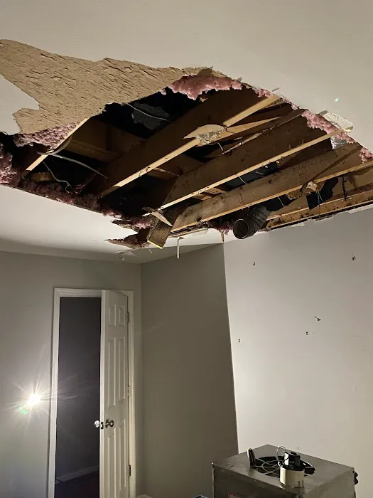 FloodX Mold And Water Damage Company Picture 7