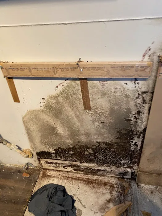 FloodX Mold And Water Damage Company Picture 4