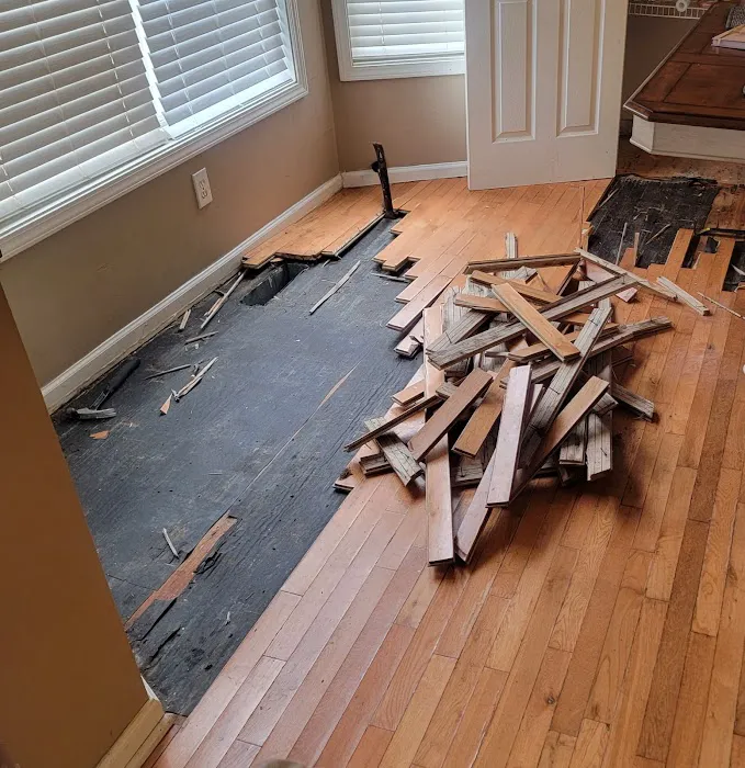 FloodX Mold And Water Damage Company Picture 6