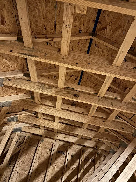 FloodX Mold And Water Damage Company Picture 5