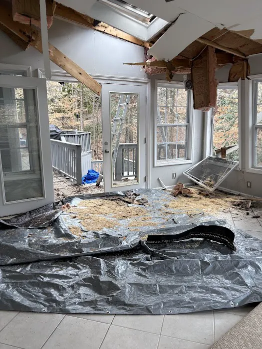 FloodX Mold And Water Damage Company Picture 9