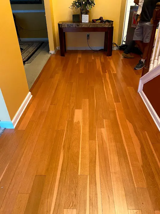 FloodX Mold And Water Damage Company Picture 10