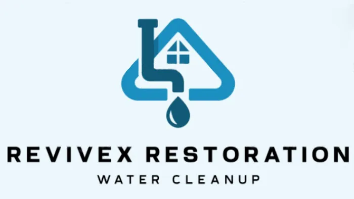 ReviveX Restoration Picture 1