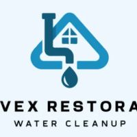 ReviveX Restoration ico