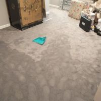 PuroClean of Suwanee ico