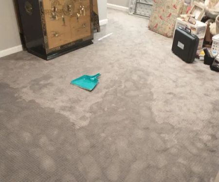 PuroClean of Suwanee