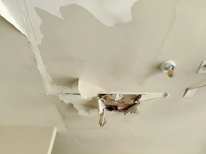 PuroClean of Suwanee Picture 10