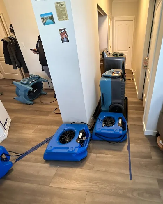 Mold Guardian Inspection Services Picture 1