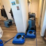 Mold Guardian Inspection Services