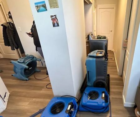 Mold Guardian Inspection Services