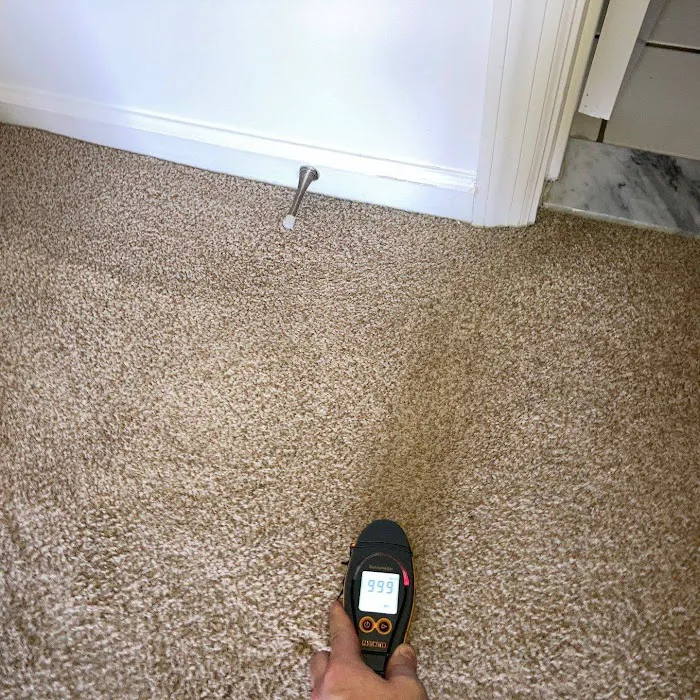 Mold Guardian Inspection Services Picture 4