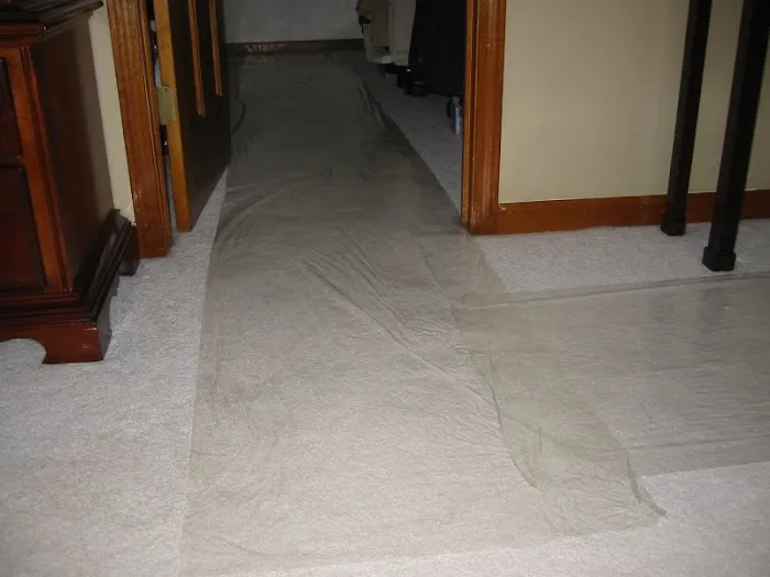 Mold Guardian Inspection Services Picture 10