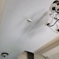 Professional Restoration Services of GA ico