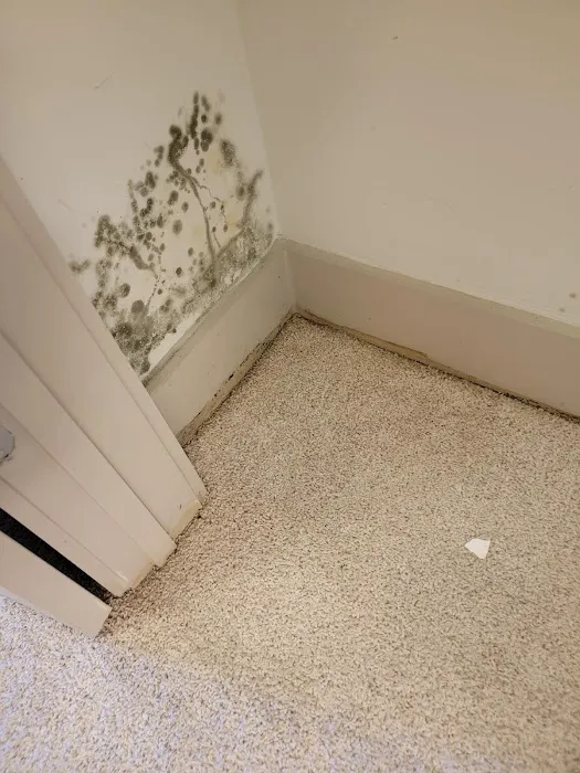 Professional Restoration Services of GA Picture 8