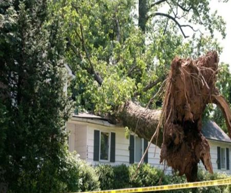 American Restoration LLC