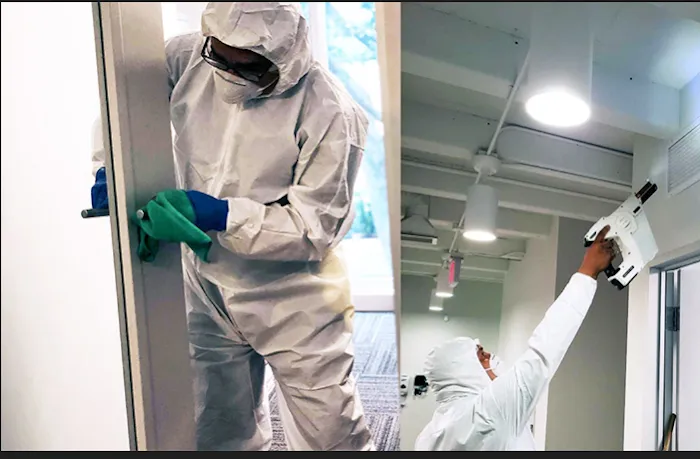 The Mold Assassins Picture 2