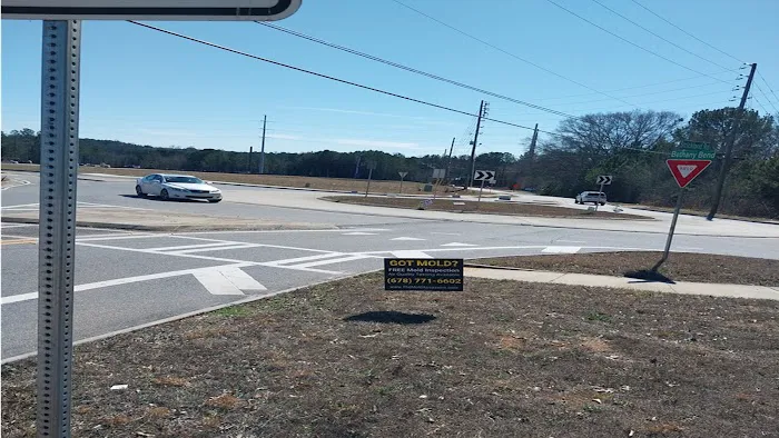 The Mold Assassins Picture 1