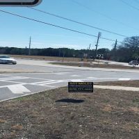 The Mold Assassins ico